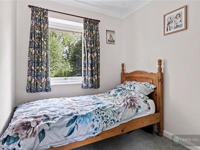 Picture 21